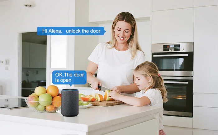 WeLock U81 Alexa WeLock U81 Alexa