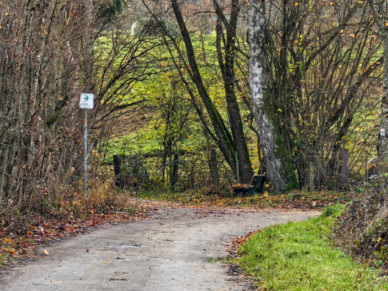 HUAWEI Pura 80 Pro Zoom 3 HUAWEI Pura 80 Pro Zoom 3