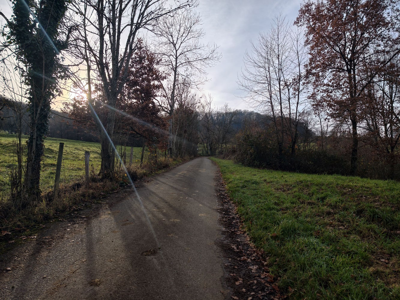 Vivo X300 Pro Hauptkamera 3 Vivo X300 Pro Hauptkamera 3