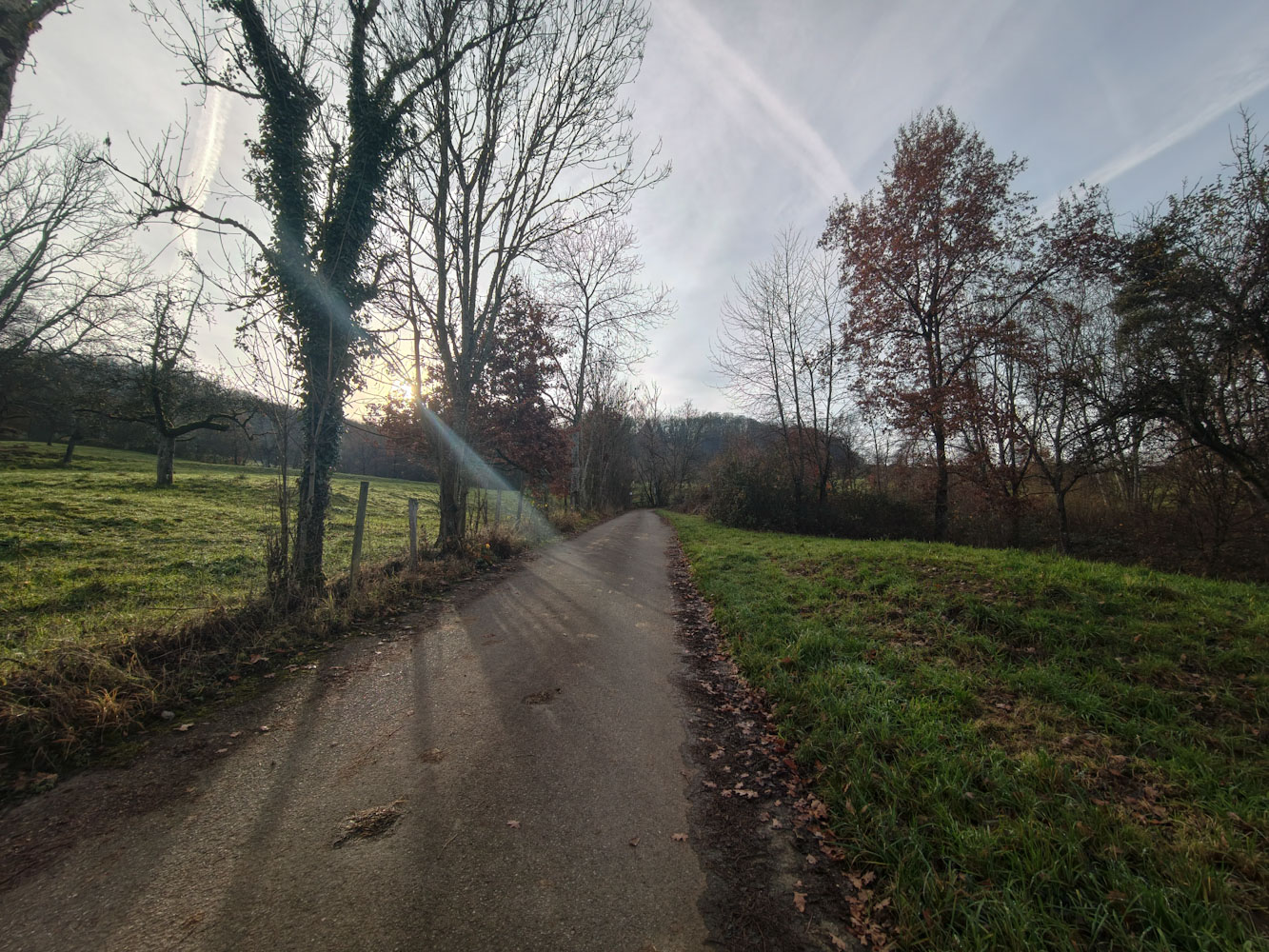 Vivo X300 Pro Ultraweitwinkel-Kamera 3 Vivo X300 Pro Ultraweitwinkel-Kamera 3