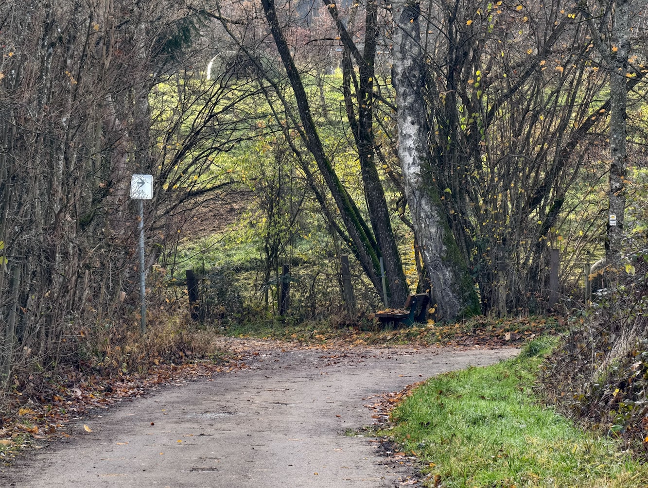 Vivo X300 Pro Zoom 3 Vivo X300 Pro Zoom 3